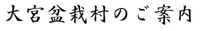 大宮盆栽村